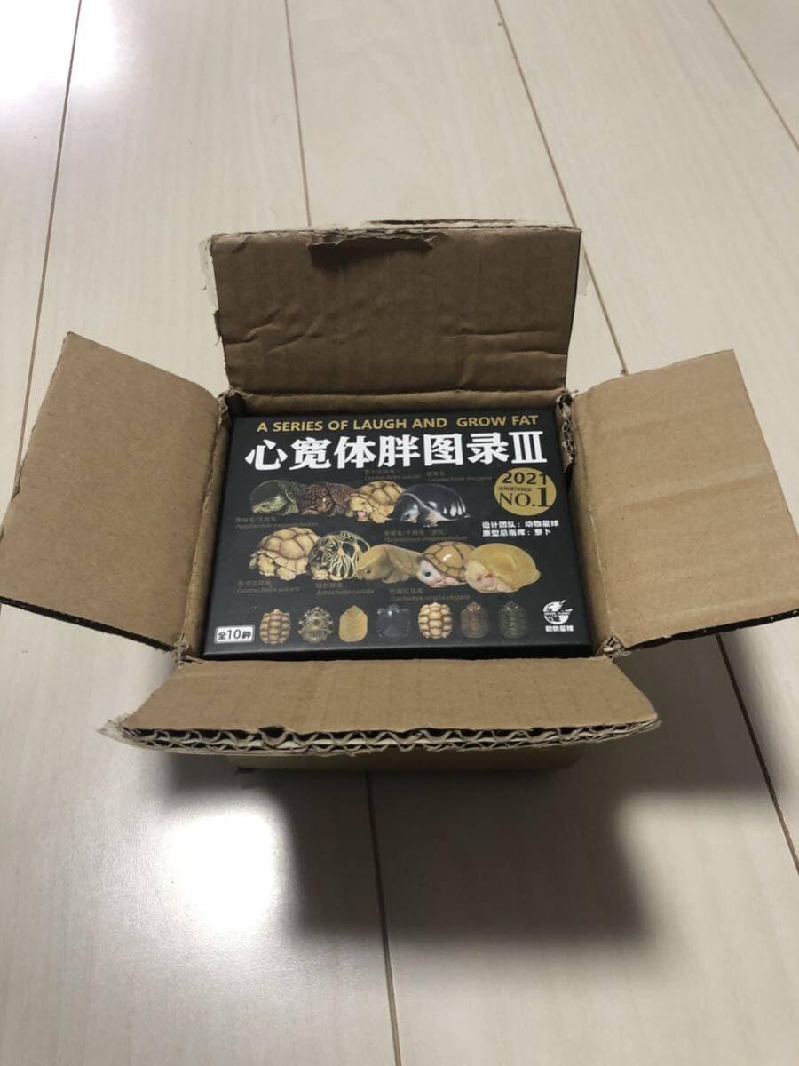 Amazon | 動物の惑星 スッポンモドキ 廃盤商品 | フィギュア・ドール 通販
