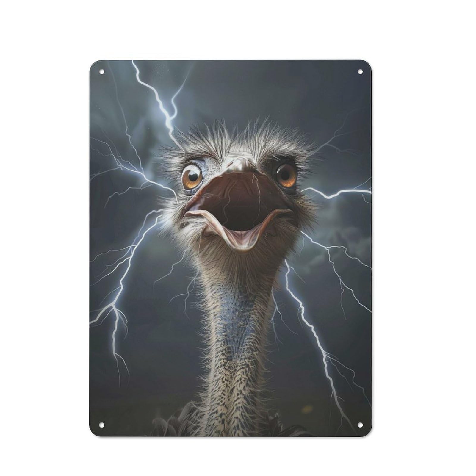 Vintage Tin Sign with Ostrich Lightning Design 40x30cm, Nostalgic Nostalgic Wall Art for Living Room, Hallway, Kitchen Or Cafe