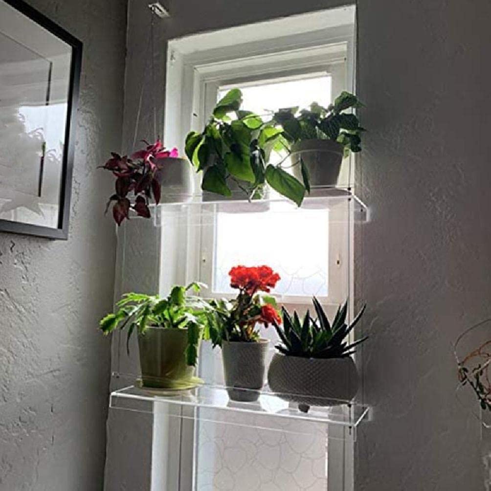 Étagère suspendue plante fenêtre avec support pot fleur et étagère murale clair