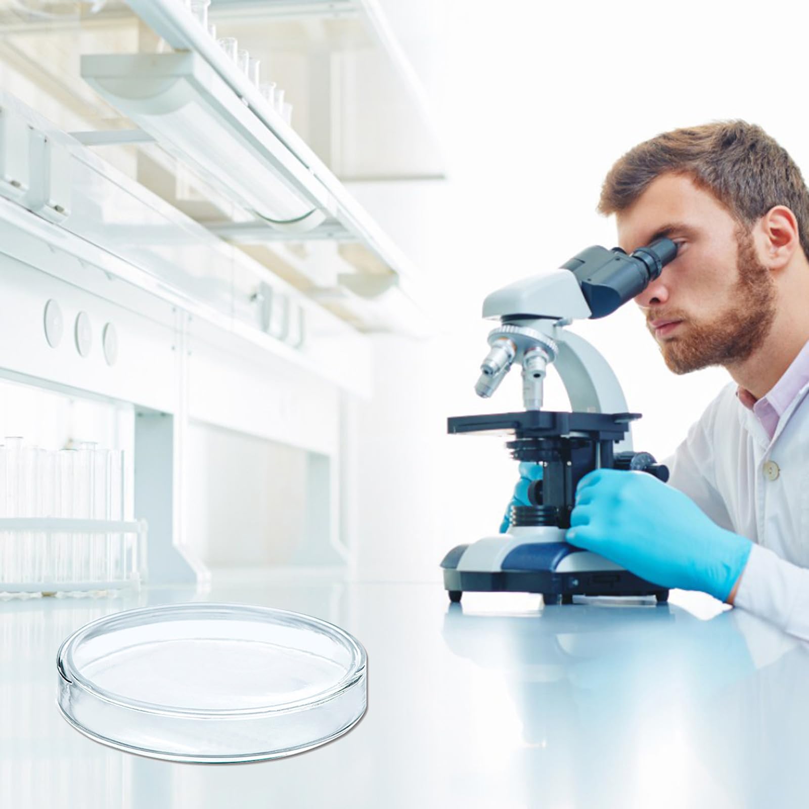 10 platos de vidrio de borosilicato alto para Bioresearch, platos estériles para médicos biológicos