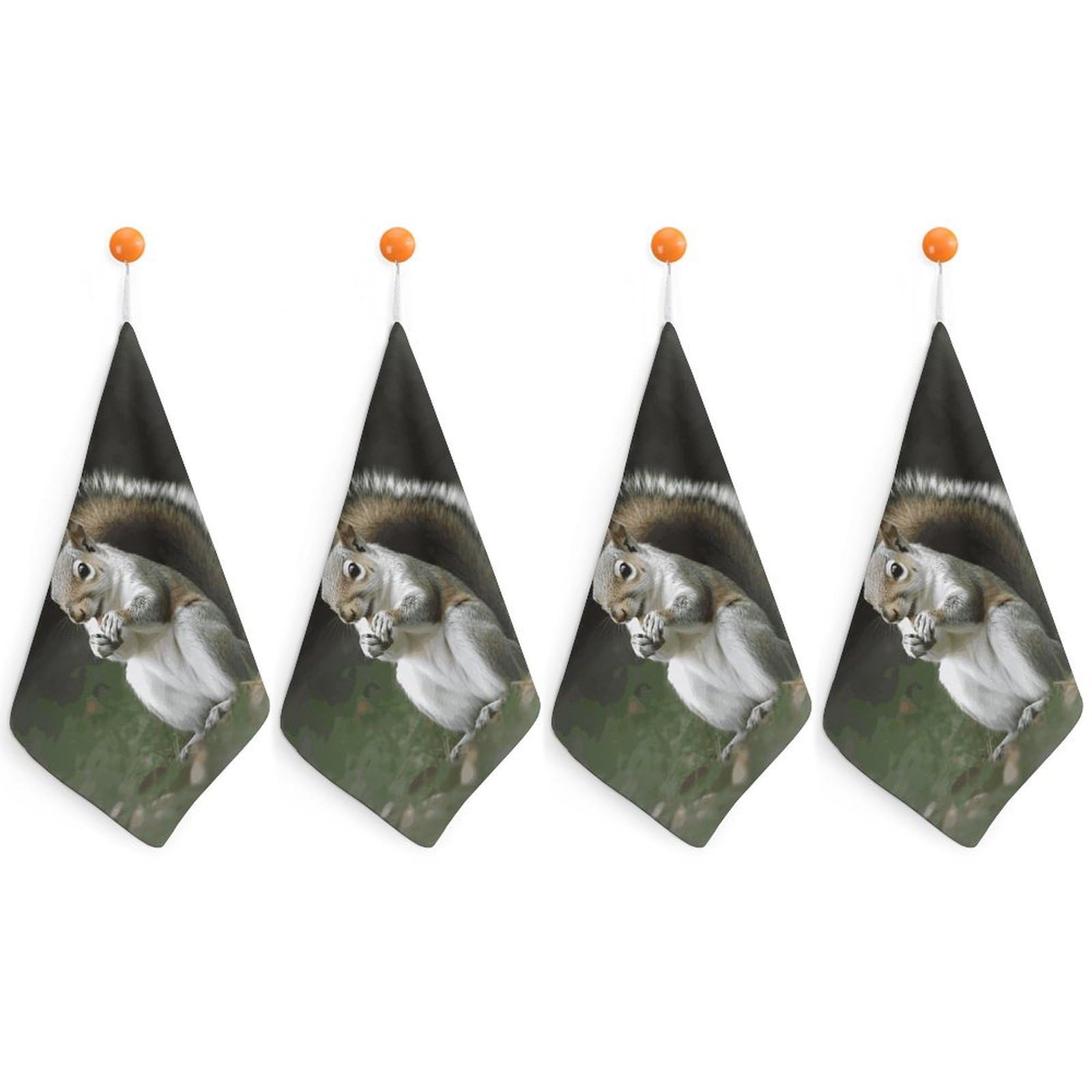 LDGSUPH Squirrel Hand Towels Fashion Hand Face Towel with Hanging Strap Absorbent Soft Decorative Towel Fade Resistant Cozy Face Cloths for Kitchen Gym Bathroom Towels 4PCS