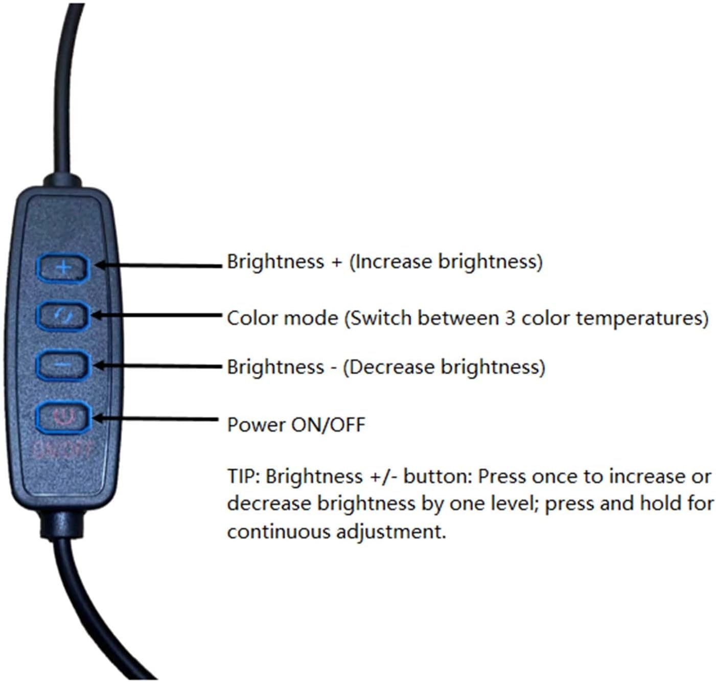 Bieye L12001 Frogs on a Swing Tiffany Style Stained Glass Accent Table Lamp for Home Decor