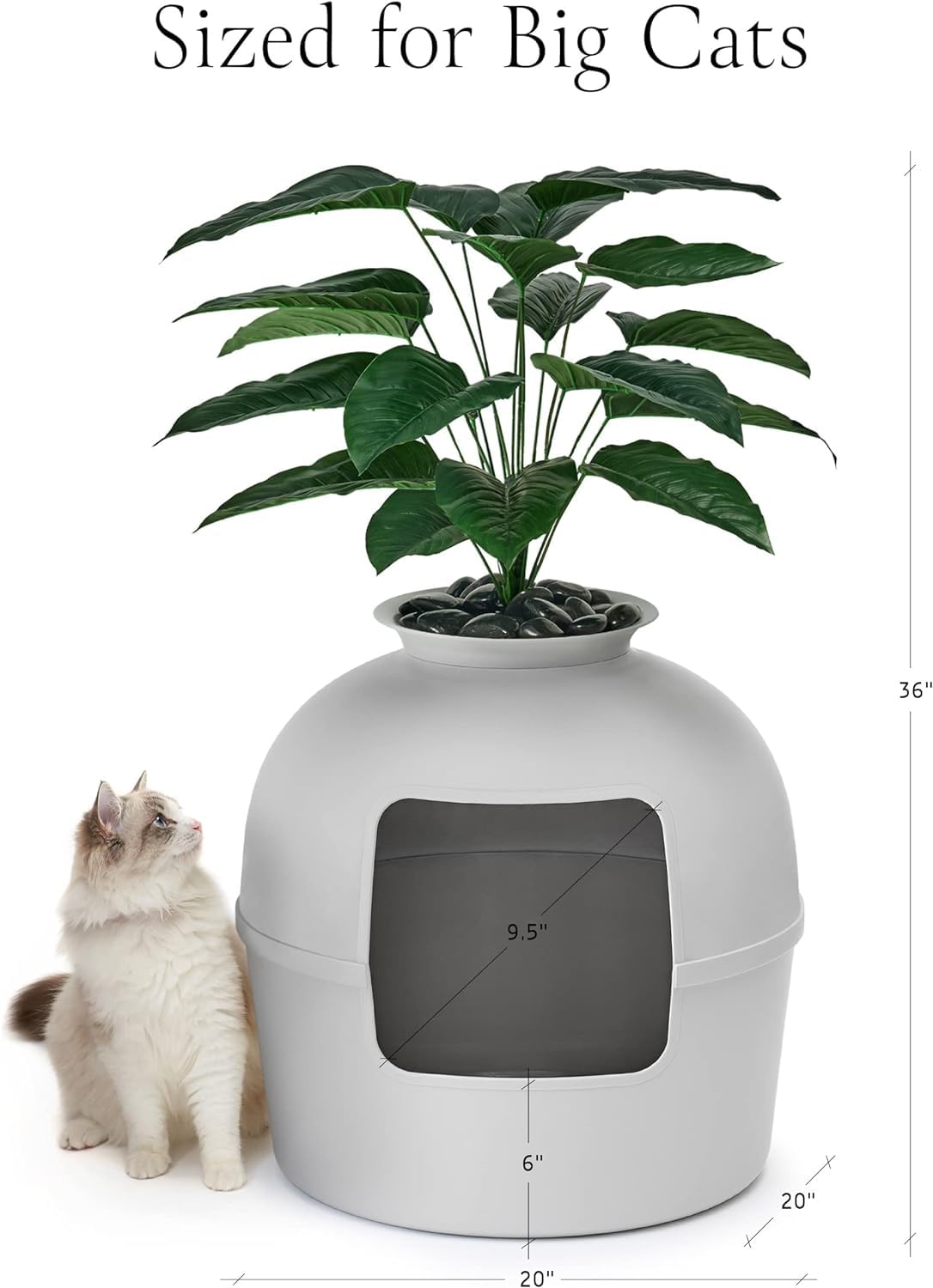 Caja De Arena Oculta Para Gatos Bundle & Bliss - Con Filtro De Carbono, Planta Sintética Y Piedras