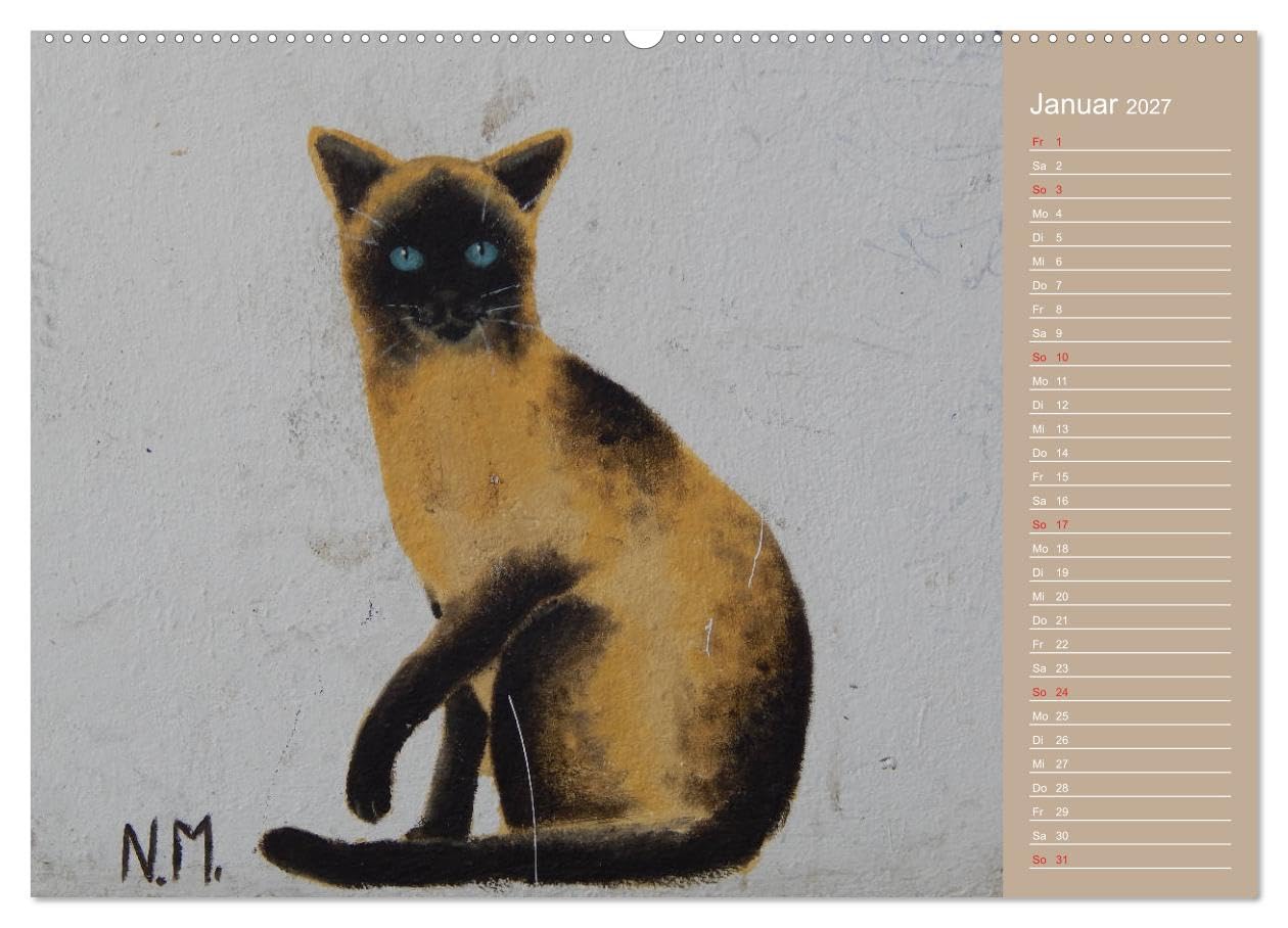 CALVENDO - Flensburger Katzen (hochwertiger Premium Wandkalender 2027 DIN A2 quer), Kunstdruck in Hochglanz: Flensburger Katzen - Streetart