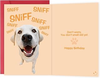 Funny Birthday Cards for Men Women, Hilarious Birthday Gifts for Family Friends Coworkers, Cute Gog Bday Greeting Card for Him Her, Happy Birthday Card, You Don't Smell Old Yet.