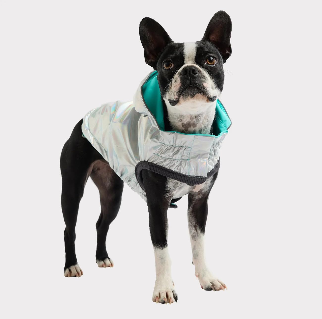 GF Pet Reversible Raincoat - Regenjacke- wasserdichte Hundebekleidung- Größe M Hundemantel Rückenlänge 38cm- Neongelb mit Krawattenfärbung