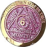 6 Month AA Medallion Reflex Pink Glitter Gold and Silver Plated Chip