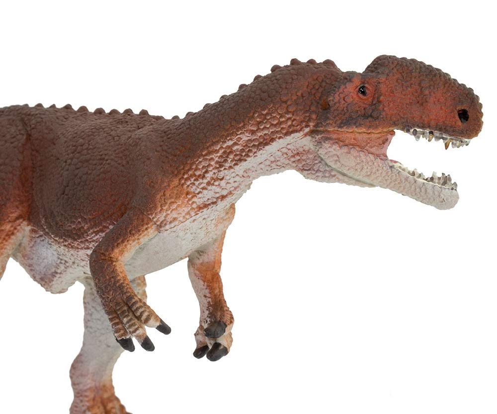 (未使用･未開封品)　サファリ社フィギュア 303629 WSディプロドクス qdkdu57 サファリ ディプロドクス 恐竜 フィギュア 303629 : サファリ