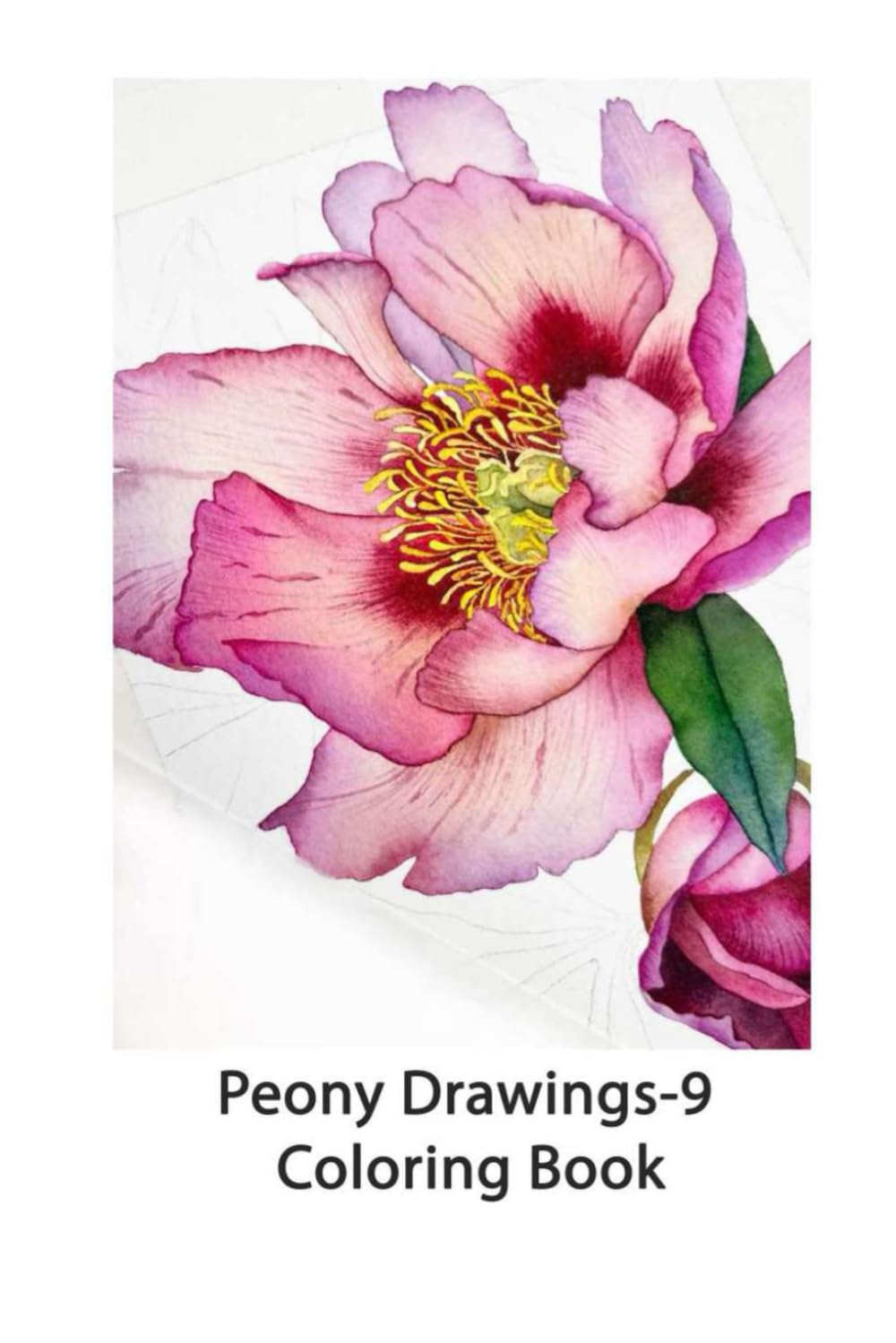Peony Drawings - 9: Coloring Book (Peony drawings and other flowers)