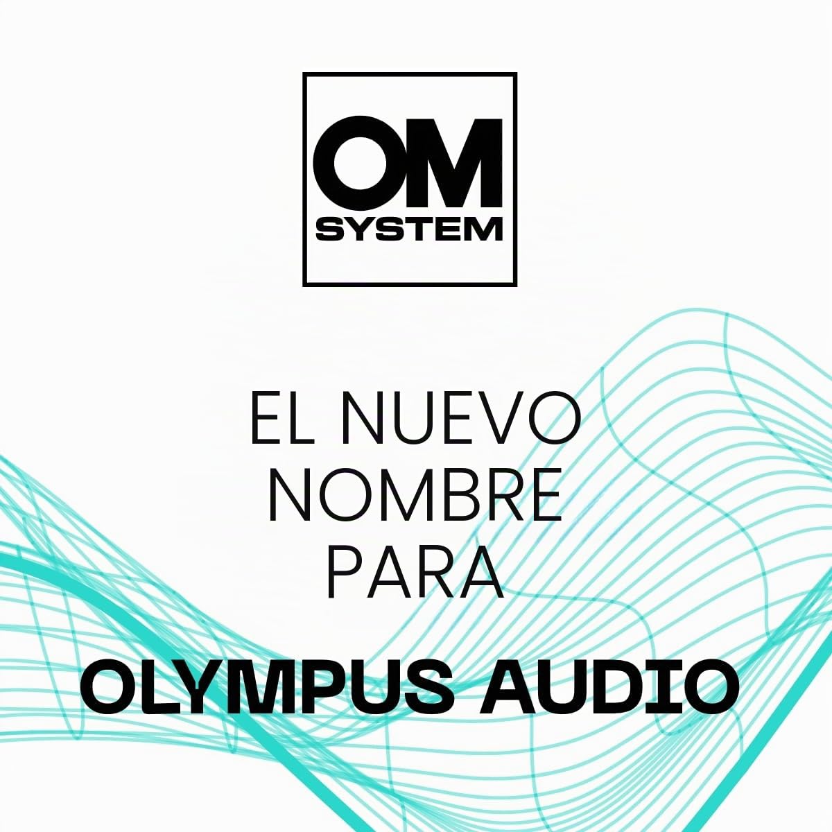 OM System WS-883 Grabadora Digital micrófonos estéreo Integrados, USB Directo, supresión de Ruido, Memoria Interna de 8 GB, VCVA, Negro
