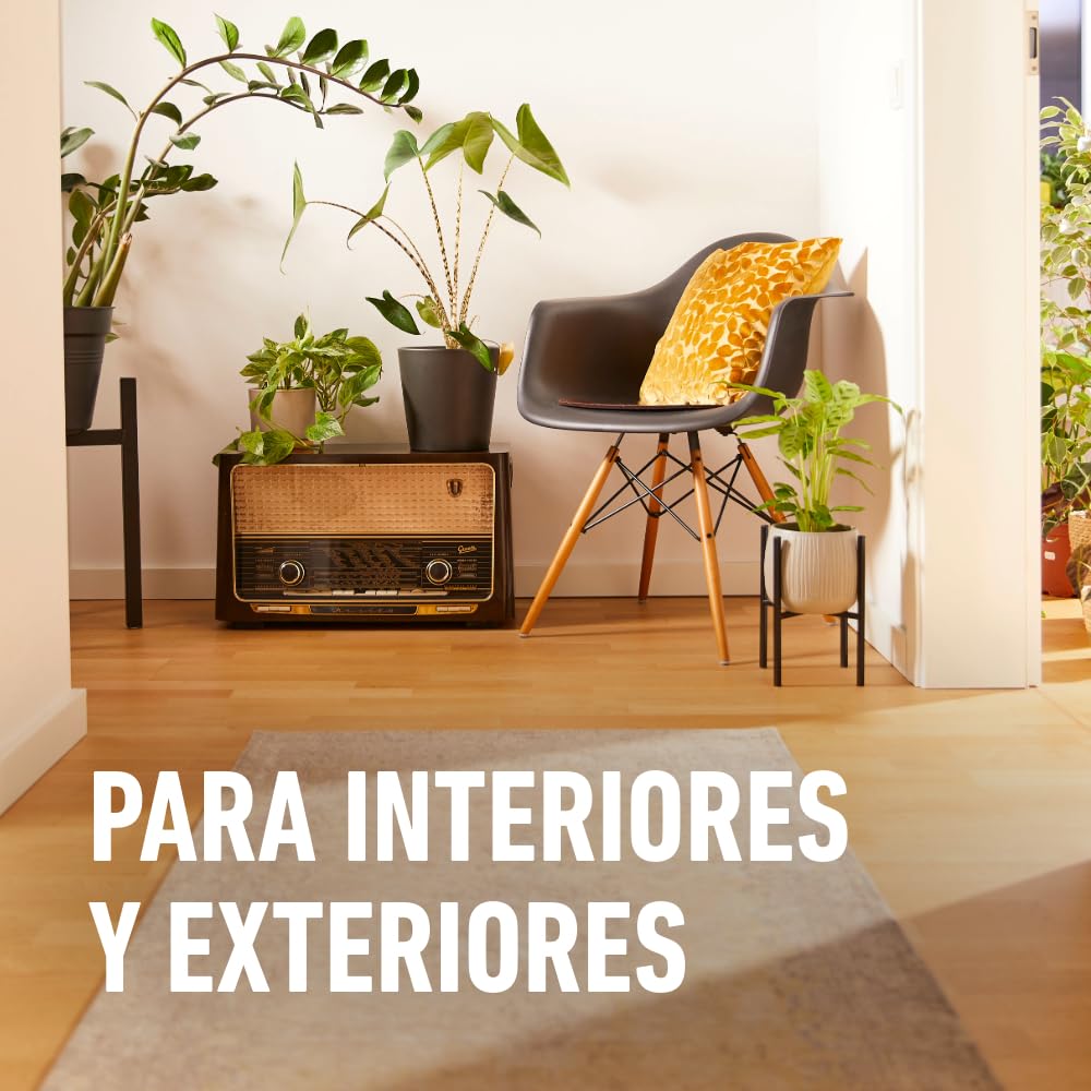 COMPO Antihormigas, Formato granulado para espolvorear, de uso interior y exterior, Efecto duradero, 300 g