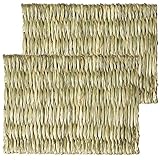 Oxbow Timothy Club - Timothy Mat for Pets, Medium, 2-Pack