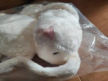 Amazon.co.jp: ぬいぐるみ タグ付き ミキハウス 兎 ウサギ 子供