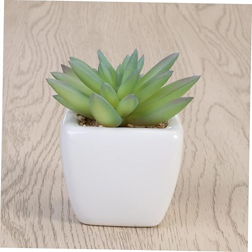 Miniatura 6 de Asakkura Cactus riendo para interiores y exteriores, diseño de plantas artificiales suculentas para el hogar con maceta, falso, escritorio, centro