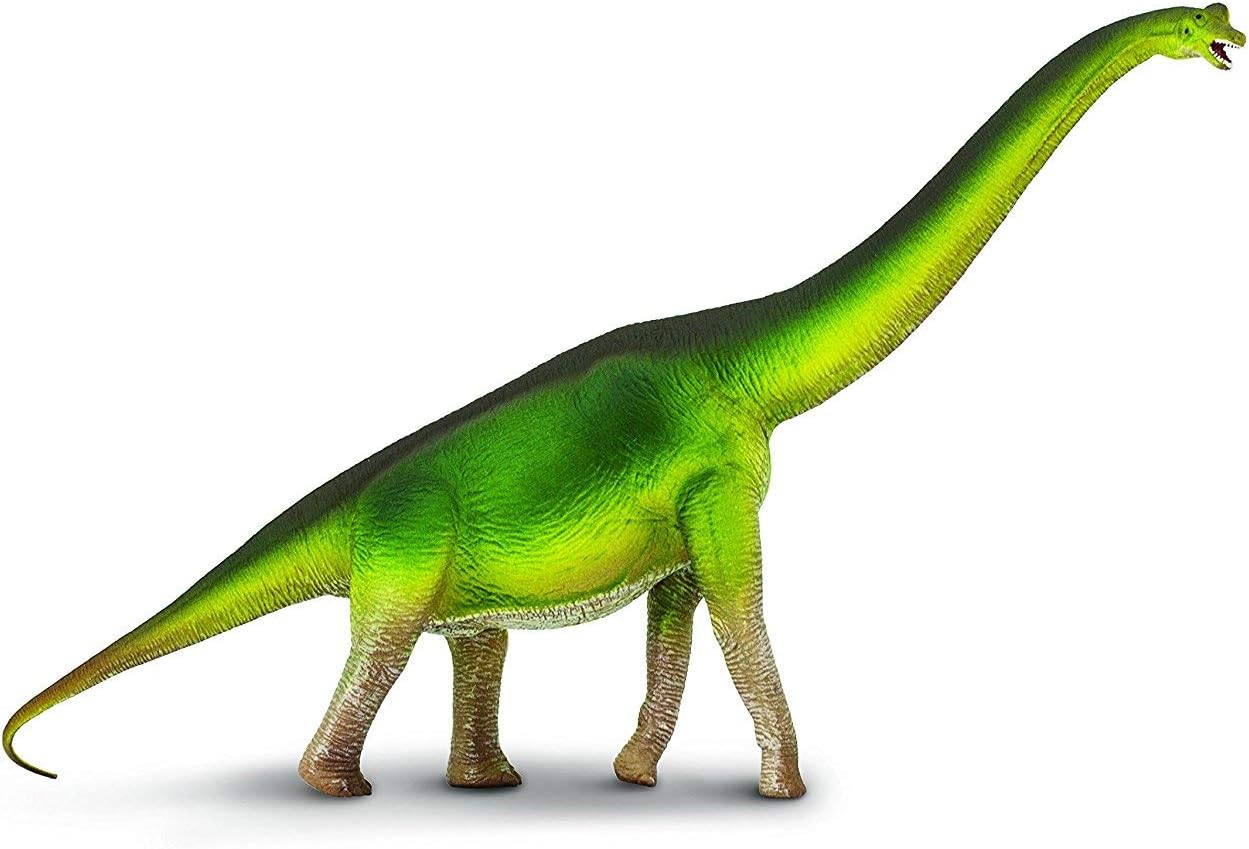 Safari Ltd. Brachiosaurus Figurine - Detailed 13" Long-Necked Dinosaur Figure - Educational Toy for Boys, Girls, and Kids Ages 3+