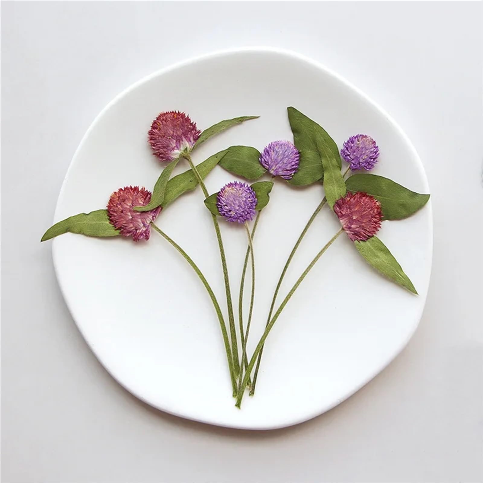 Trockenblumen 120 Stück gepresste, getrocknete Gomphrena Globosa-Blume, Herbarbelege for Epoxidschmuck, Karten, Lesezeichen, Rahmen, Telefonhülle, Gesicht, Make-up, Lampe(Red)