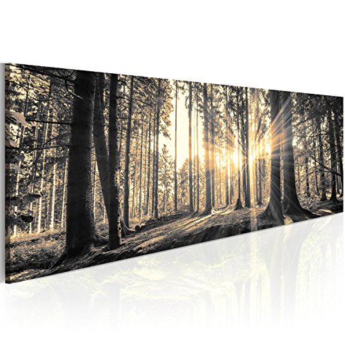 murando - Impression sur Verre Paysage 135x45 cm 1 Partie - Imprimée Tableau Photo Image Pret a Accrocher Murale Moderne Décoration -Forêt en Noir et Blanc avec Lumière Naturelle c-B-0077-k-c