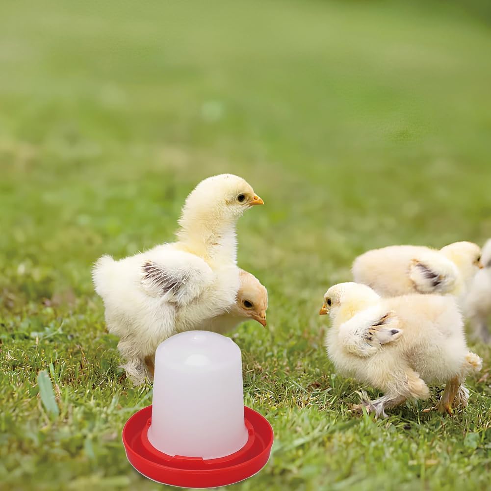 Tiiyee Mangeoire et Abreuvoir pour Poussin, Kit Alimentation Automatique | Distributeur d'Eau et de Nourriture pour Volaille, Système Rotatif Facile à Installer pour Poulets Canards Cailles Pigeons