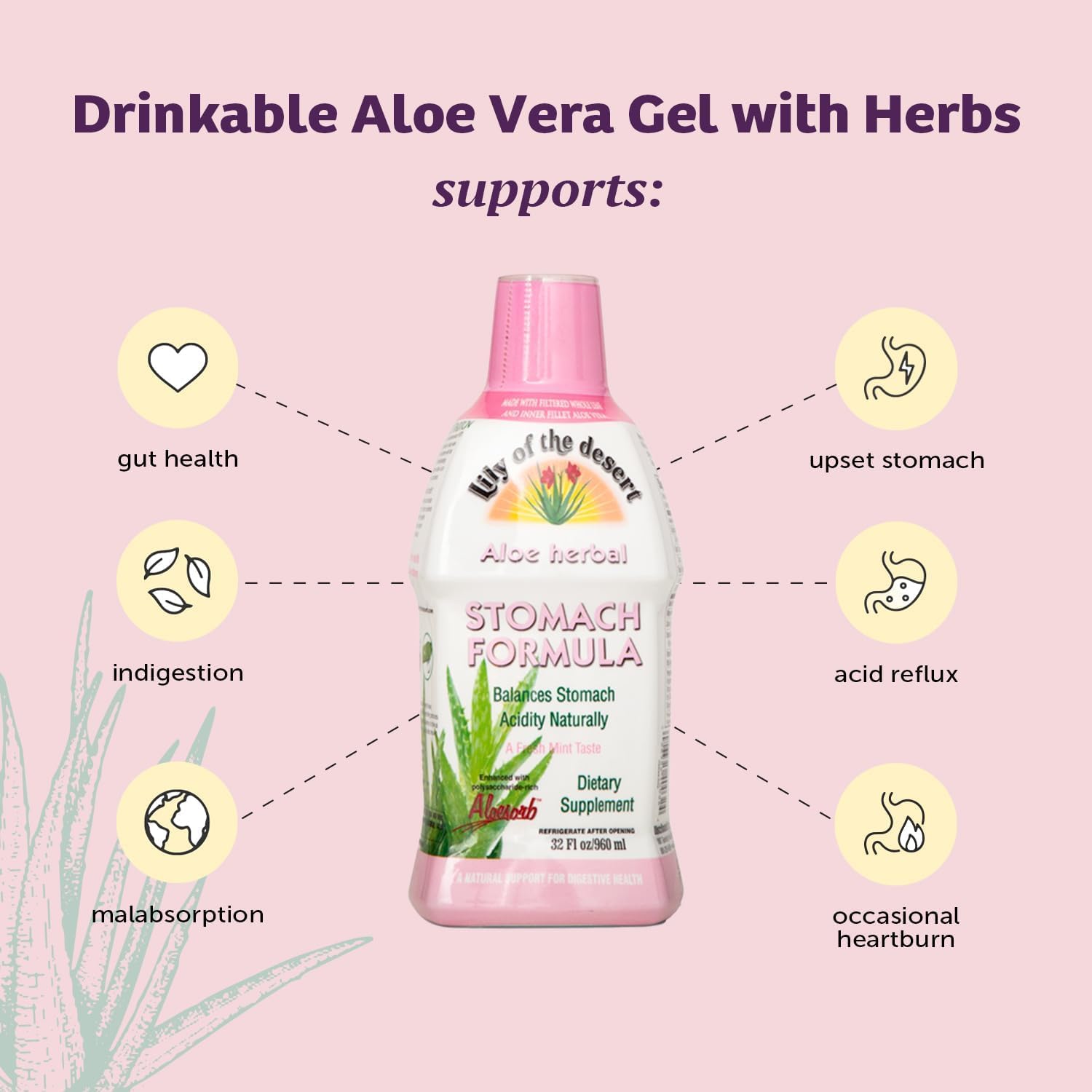 Lily Of The Desert Stomach Formula, Organic Aloe Vera Juice with Slippery Elm, Chamomile, Peppermint, and Ginger for Gut Health, Acid Reflux, Heartburn Relief, 32 Oz (Pack of 2)