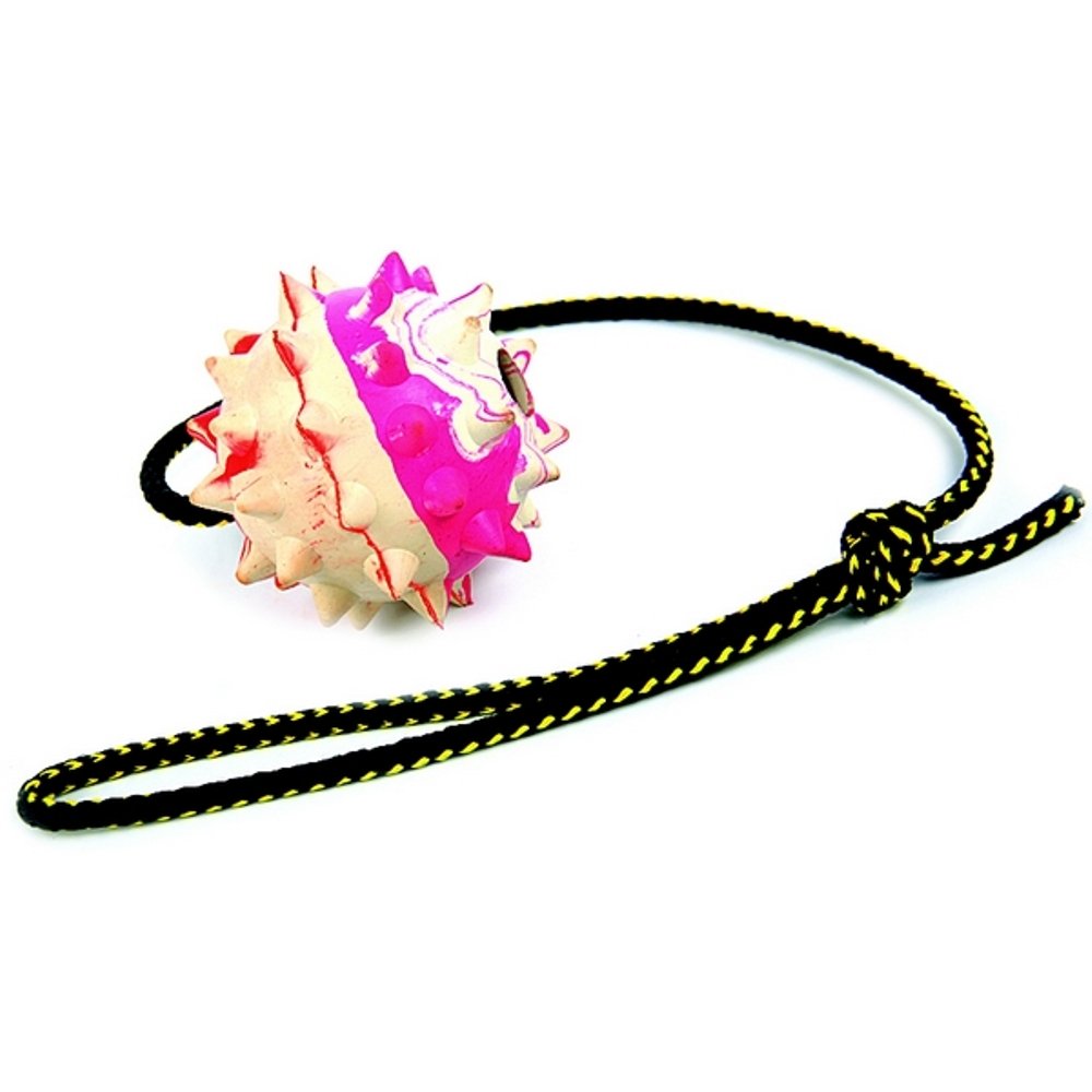 Dingo Fetch Ball Made of Hard Tough Rubber with a String, Large, for Aport Game Dog Training 17323, RANDOM