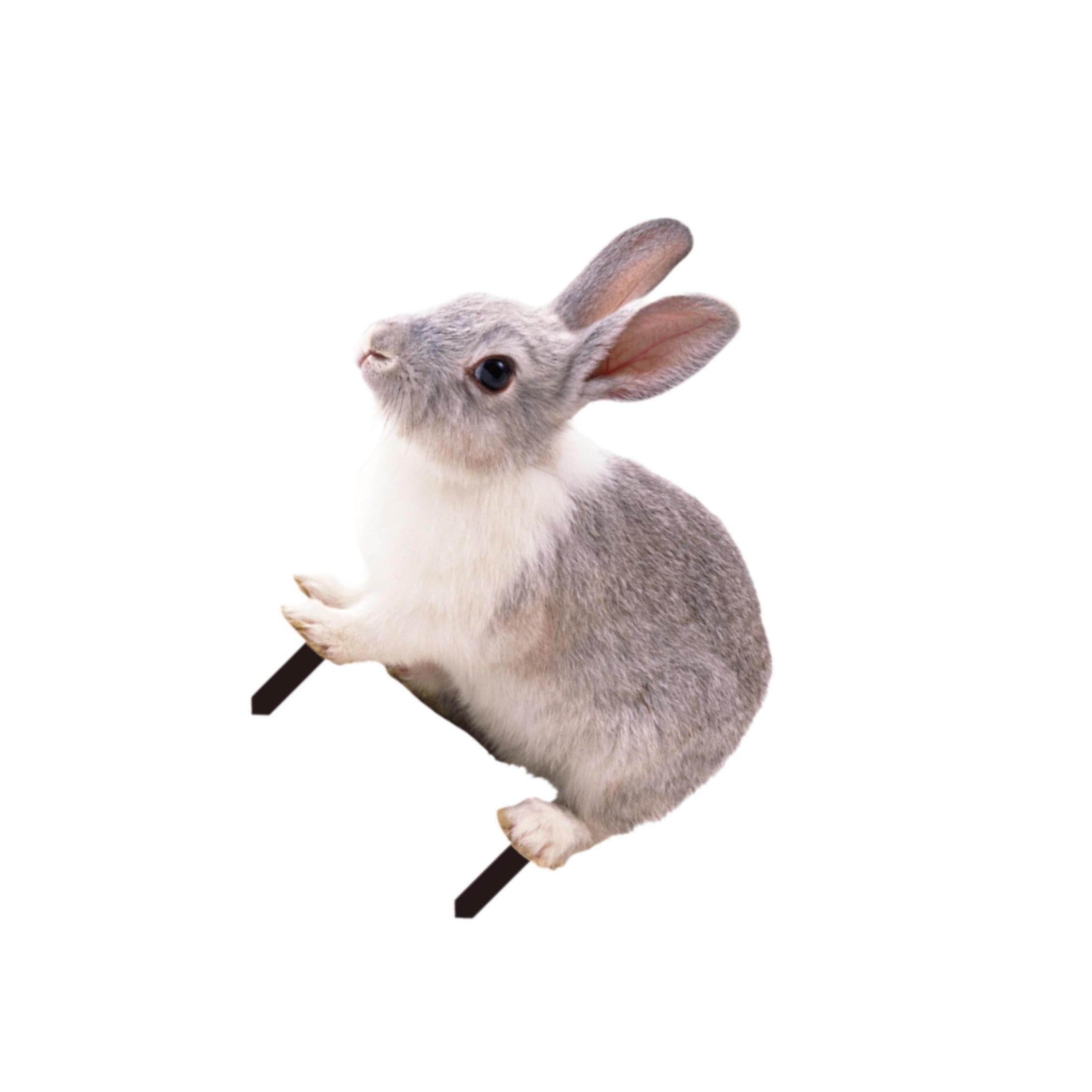 TWISAXC Rabbit Garden Statue Lifelike Rabbit Sculpture Outdoor Adorable Animal Ornament For Yard Art Garden Statues Are Easy To Install.With Stakes Decorative Sculpture Floor, Style B