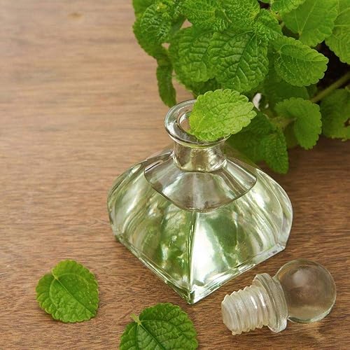 Miniatura 8 de Muse Apothecary Yoga Ritual - Limpiador aromático y refrescante para esterilla de yoga, 4 onzas, infundido con aceites esenciales, eucalipto y menta