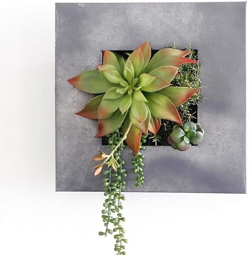 Vista 89 de Vandue Modern Home Living - Maceta suculenta de acero galvanizado de acero galvanizado (zinc envejecido, 16 bolsillos)