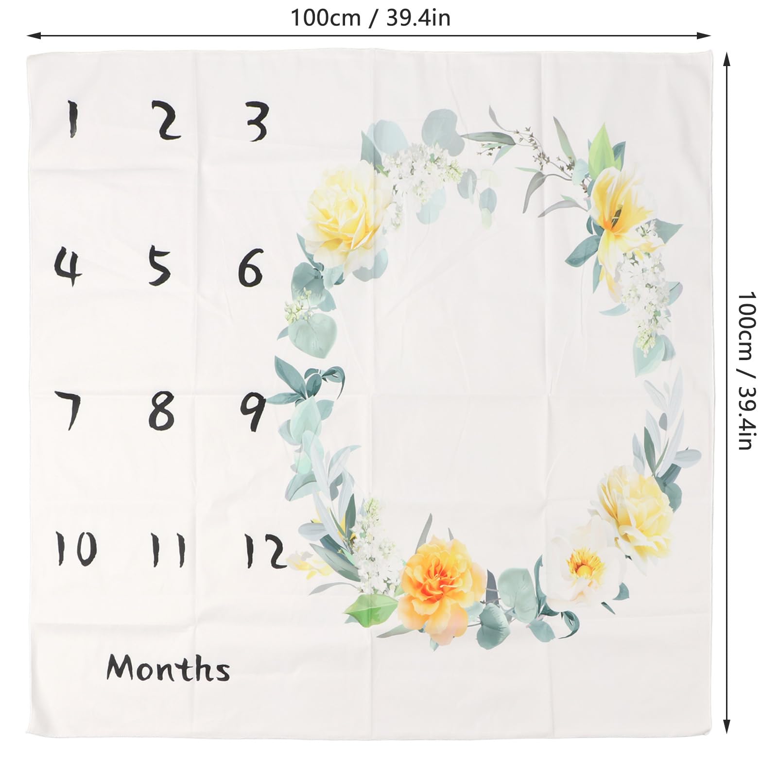 Tiny Gifts Baby maandelijkse mijlpaal deken 2 Frame Props | 60 x40 | Dik, zacht Minky Fleece (roze