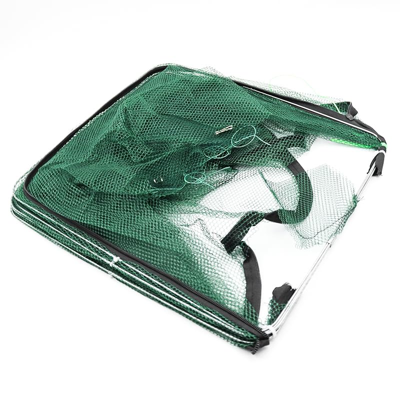 Ieron Portable Folding Fish Trap, Foldable Crab Crayfish Fish Minnow Crawdad Shrimp Net Cast Fish Trap (12 Holes) - Image 3