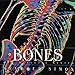 Bones: Our Skeletal System