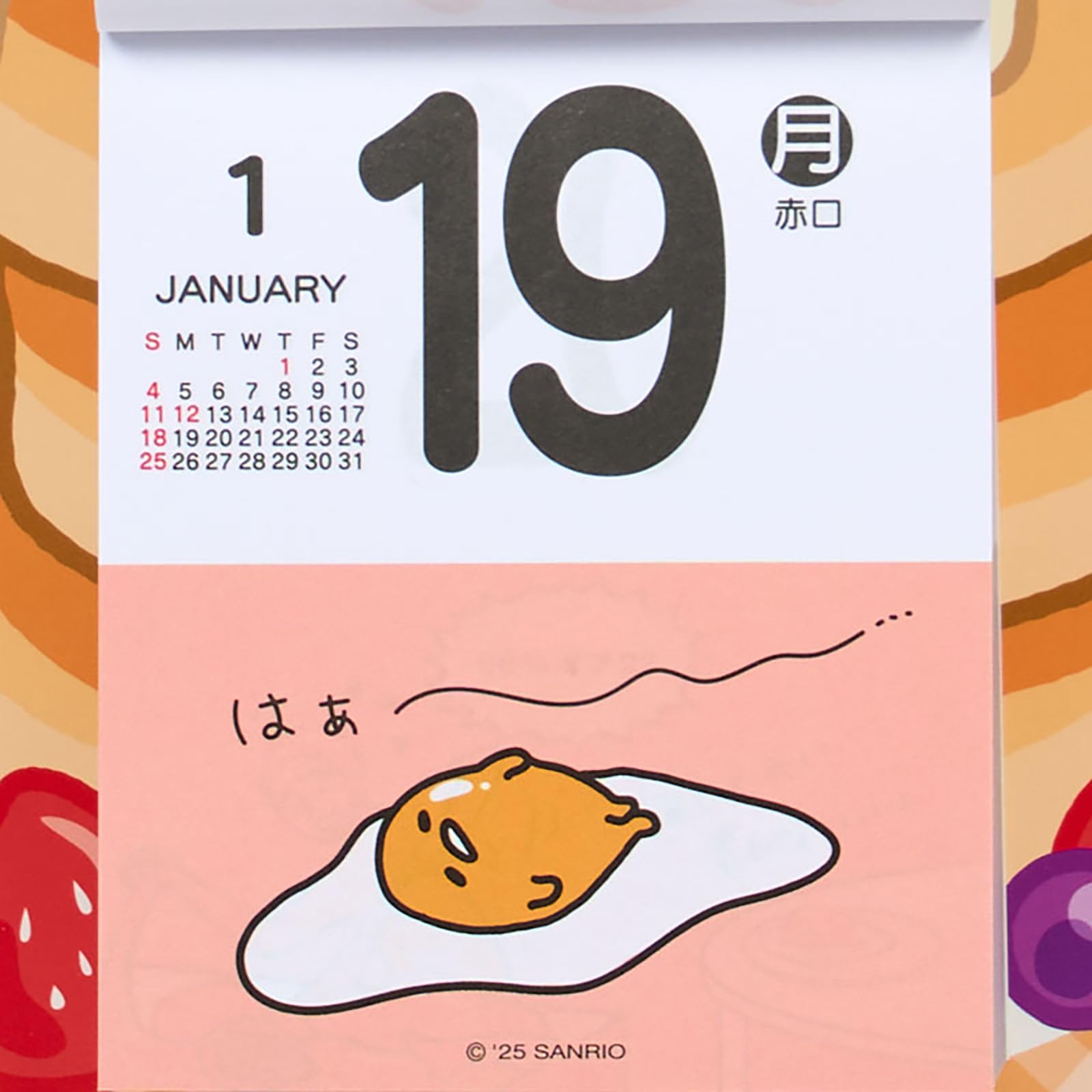 Amazon.co.jp: サンリオ(SANRIO) 日めくりウォールカレンダー 2026 ぐ