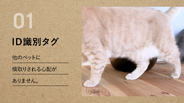 Amazon | NAKURAM ナクラム ペット用ID識別オートフィーダー CT-711