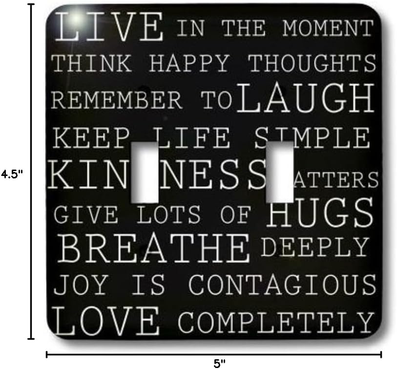 3dRose lsp_164536_2 Live in the Moment Black and White Inspirational Typography Double Toggle Switch