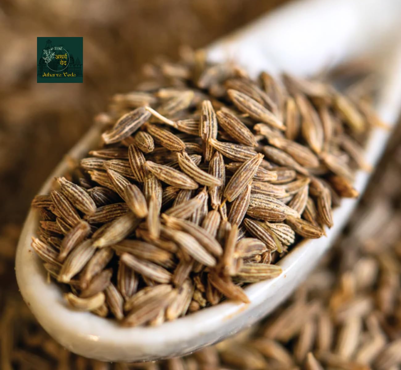 The Atharva-Veda Whole Jeera 5kg | Cumin Seed | 100% Pure & Premium Sabut Jeera | Jira, Jeelakarra, Seeragam, Jeerige, Jeerakam - No Impurities & Hygienically Packed