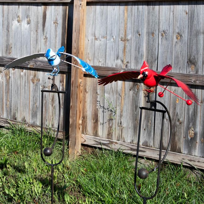 Amazon.com: Esschert Design Flying Blue Jay and Cardinal Rocker