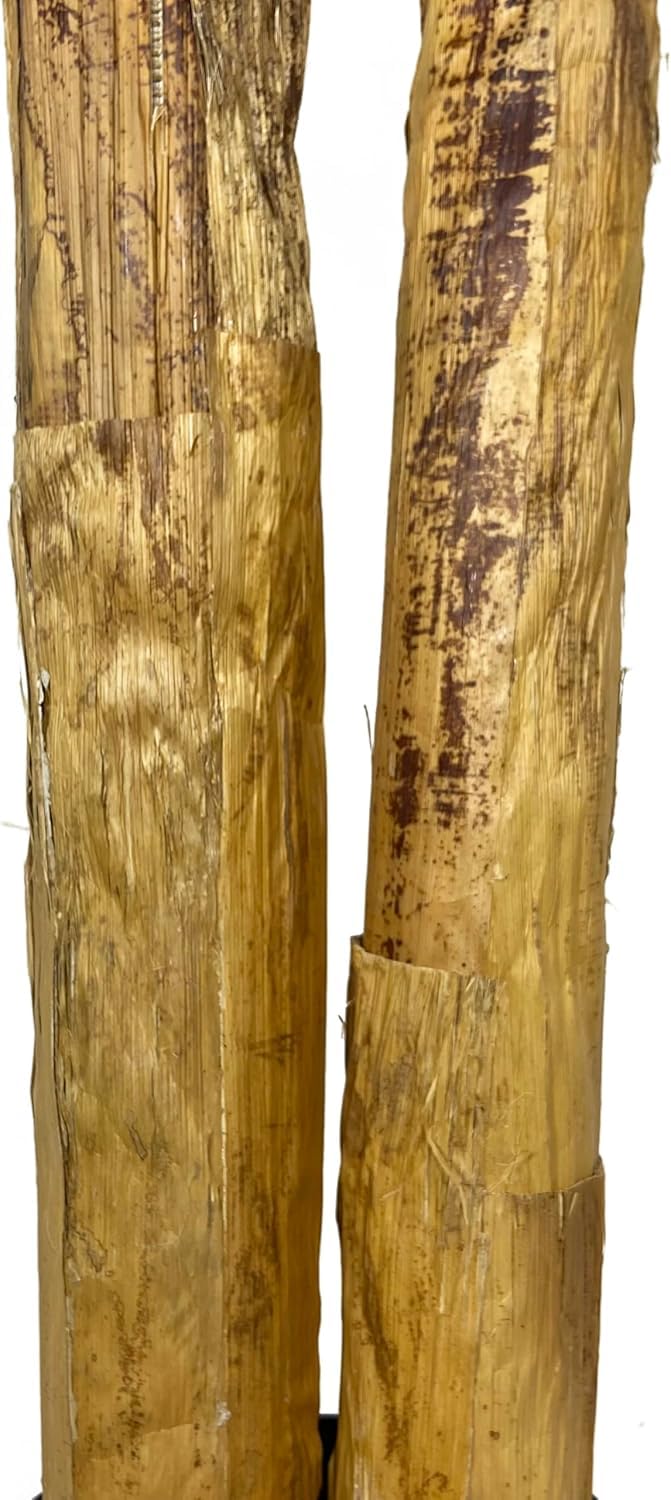 BLAINE Piante Finte da Interno Banano 160 cm Aspetto Iperrealistico per Decorazione Casa e Ufficio Senza Manutenzione
