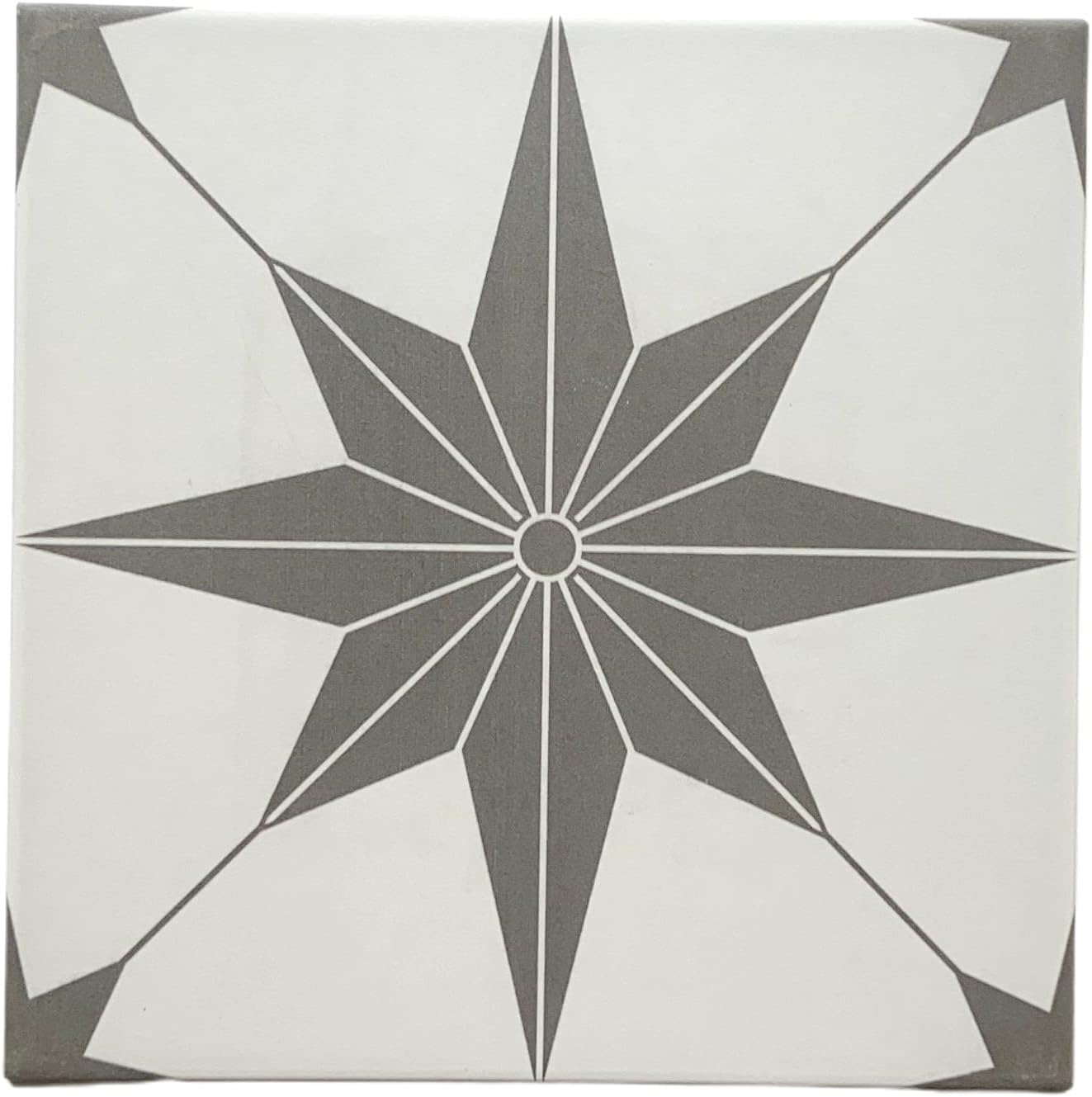 12x12 TrueNorth Geometric Pattern Modern Encaustic Style Ceramic Wall Floor Tile (12)