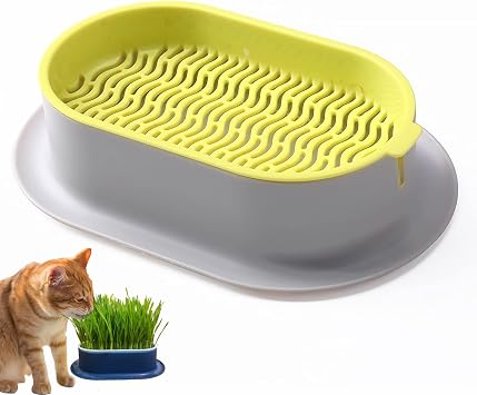Cat Grass Planter No Seeds Included Hydroponic Wheatgrass Planting Trays Cat Grass Growing Kits for Indoor Cats Soilless Organic Nursery Box Pet Grass Pot Yellow