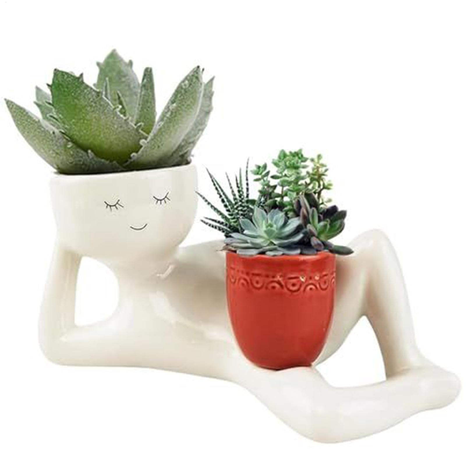 Pot à cactus en résine avec drainage pour intérieur et extérieur