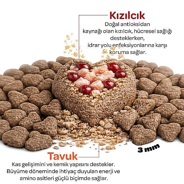 Obivan Kitten Tavuklu ve Kızılcıklı Yavru Kedi Maması 2 kg