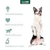 Ver la foto 7