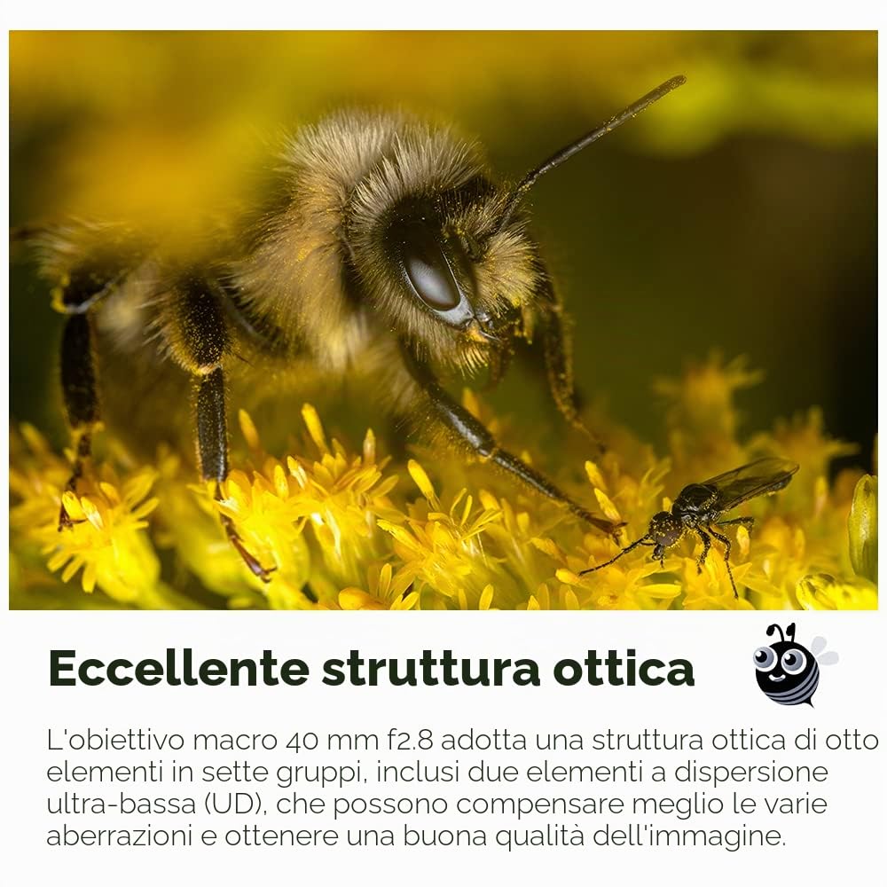 TTARTISAN 40mm F2.8 obiettivo macro APS-C MF per fotocamere E-Mount A5000 A6500 A6600 NEX-3 NEX-3N NEX-7 NEX5 CA7 A7I A7R A7RII A7RIII A7RIV A7S A7SI A7SII A9 e molto altro ancora.