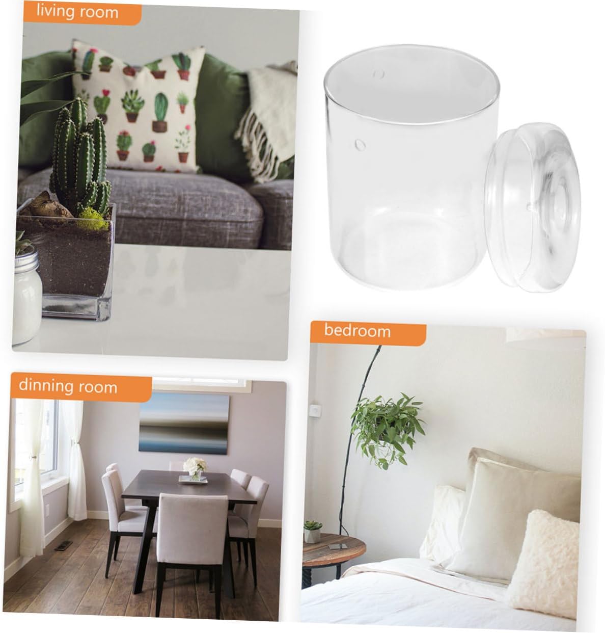 Cabilock Terrarium for Succulents and Air Plants Miniature Landscape Bottle Planter for Home and Office Decor Creative Micro Landscape Ecosystem Suitable for Indoor Spaces