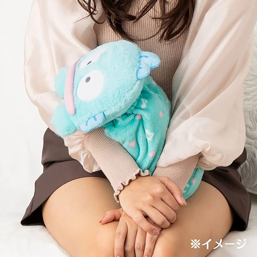 Amazon.co.jp: サンリオ(SANRIO) ハンギョドン クッション