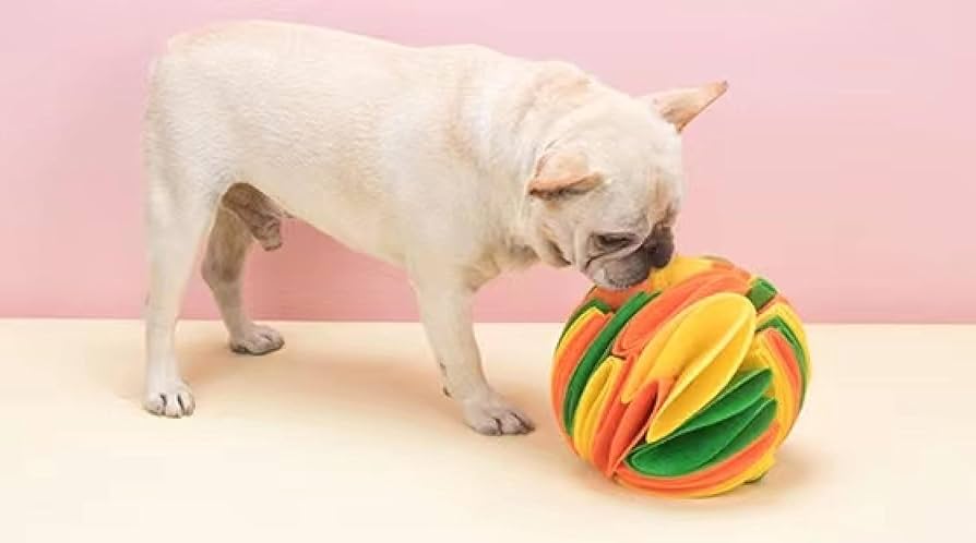 ⭐️犬 おもちゃ　玩具ボール おやつボール 噛むおもちゃ 運動不足　ストレス解消 Amazon.co.jp: 犬 おもちゃ ボール 噛むおもちゃ 玩具ボール 犬