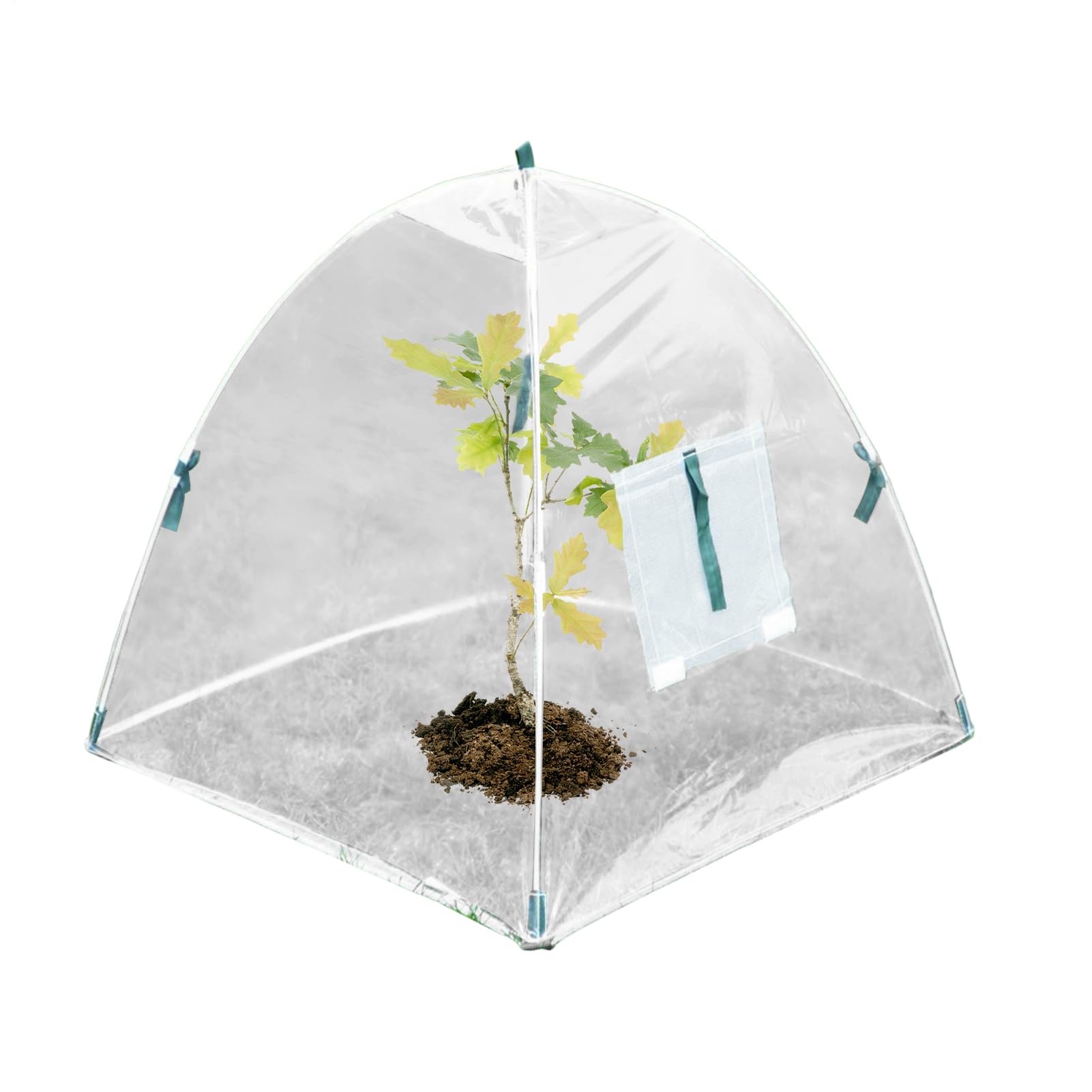 Garden Plant Cloches, 60CM X 60CM X 60CM Plant Bell Cover, Anti-scratch Foldable Protective Mini Greenhouse For Protection Against Sun, Snow, Frost, Snails, Birds, Chickens (Clear)