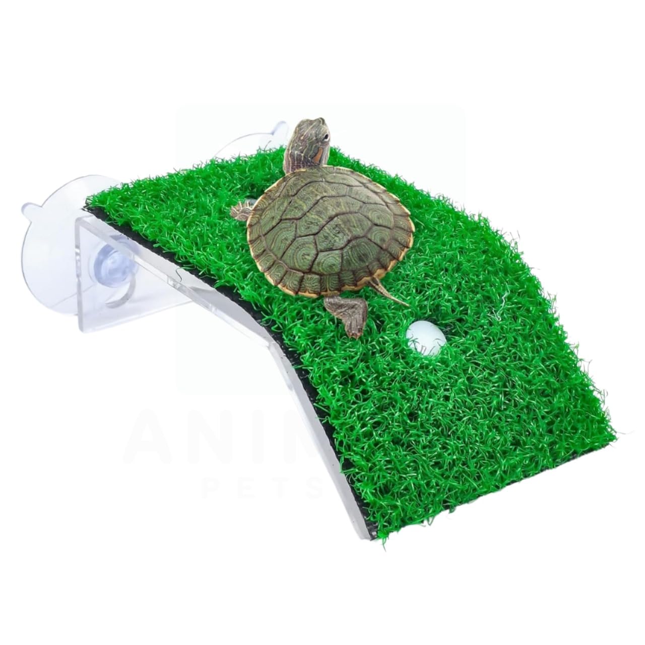 ANIMAUX (CP-80) Comfortable Turtle Climbing Ladder | Turtle BASKING Platform | Turtle RAMP | Safe and Sturdy Turtle Dock | Ultimate Turtle BASKING Station | Artificial LAWNS with Suction Cup (B0DCJJJ3YK) Amazon Price History, Amazon Price Tracker