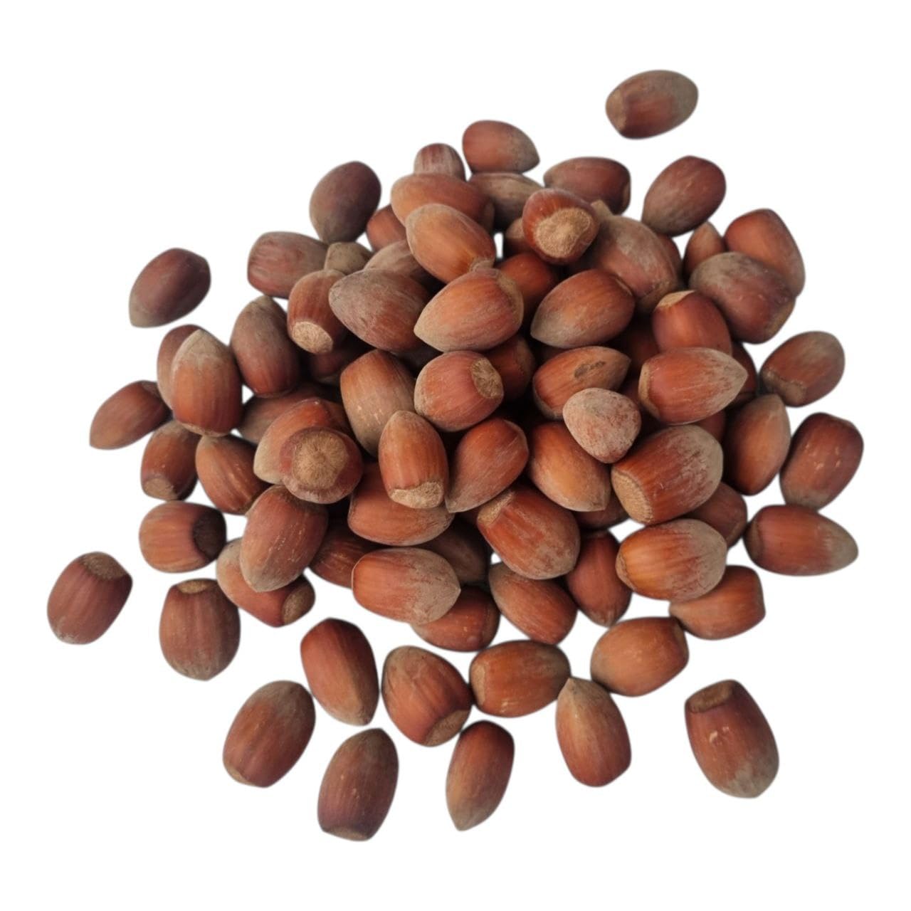 IGART FOOD & WOOD Haselnüsse Mit Schale Cosford Naturbelassen Frisch Polnische Ernte Ungeröstet Nüsse Zum Backen Müsli Und Gesunden Snack, 5kg