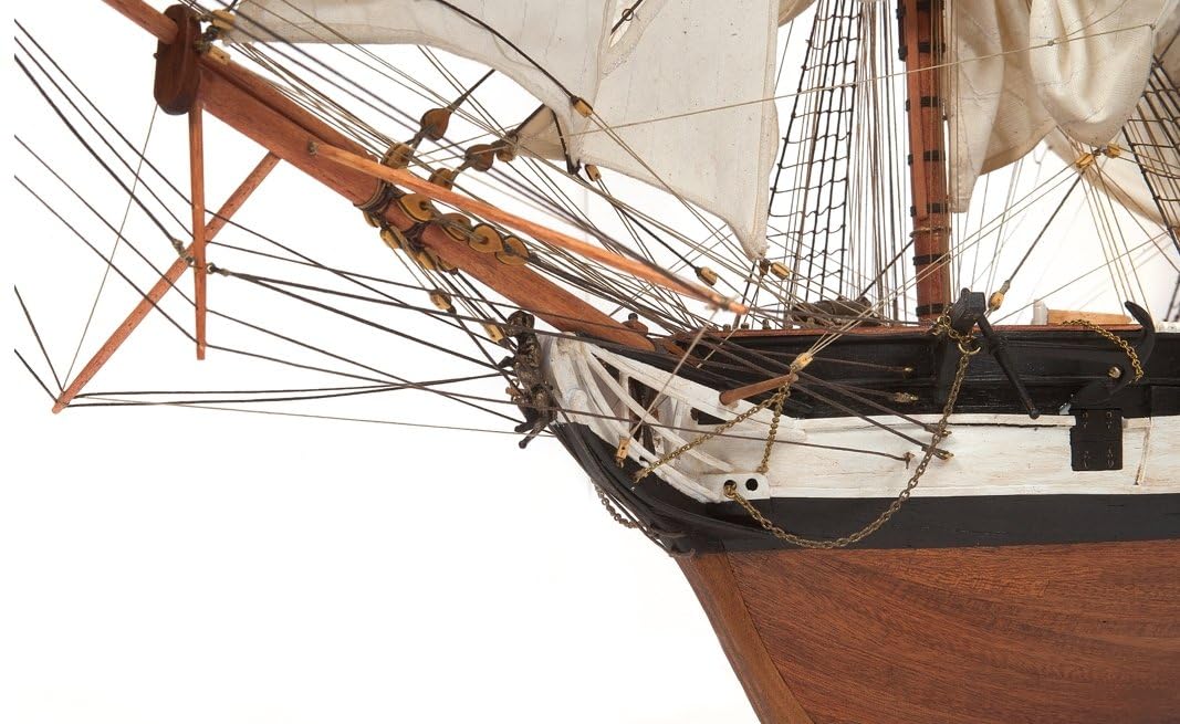 Amazon.com: Occre 12005 HMS Beagle Detailed Scale Modelling Kit