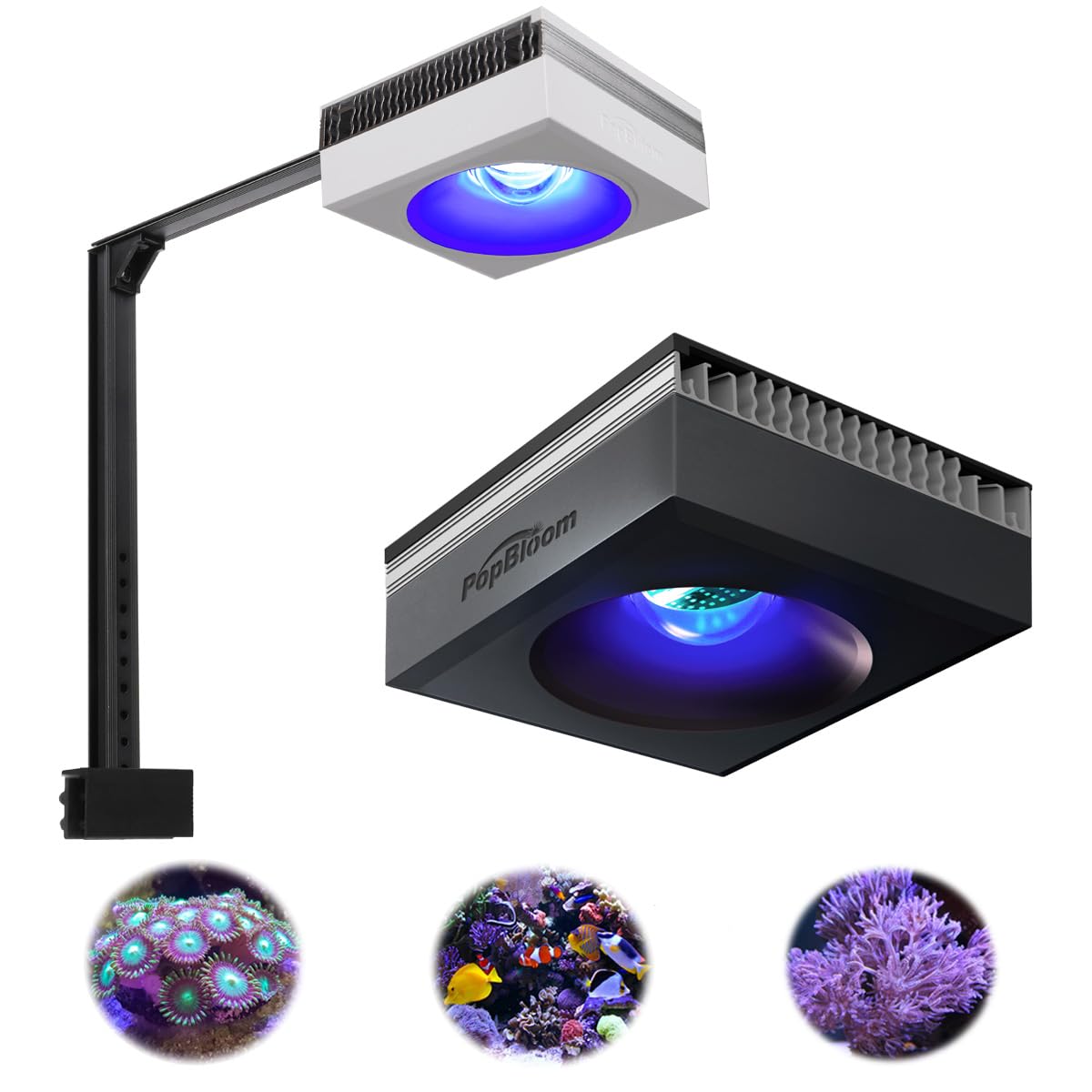 PopBloom RL90 LED Aquarium Light, Full Spectrum Aquarium Light for 16-24Inch Marine and Saltwater Tanks, Fish Tank Light with Wired Timer and Adjustable Brackets